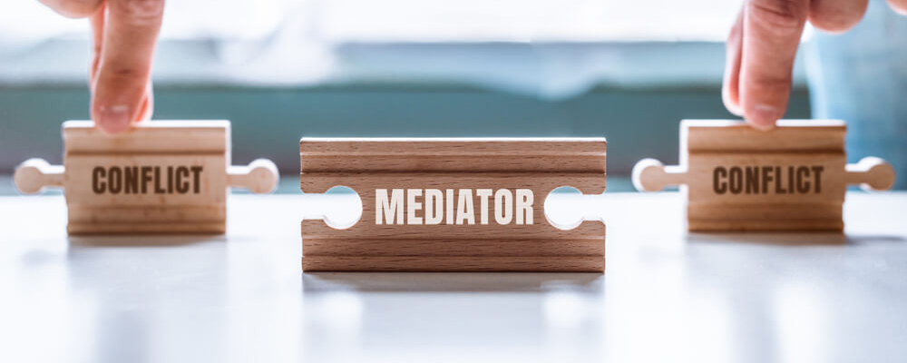What happens in mediation proceeding